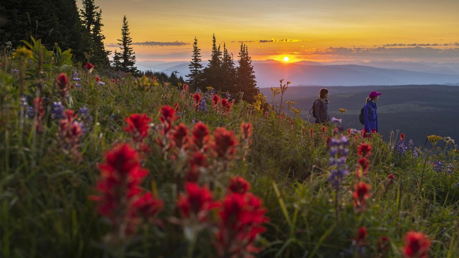 Soleil Chalet By Bear Country Sun Peaks Zimmer foto